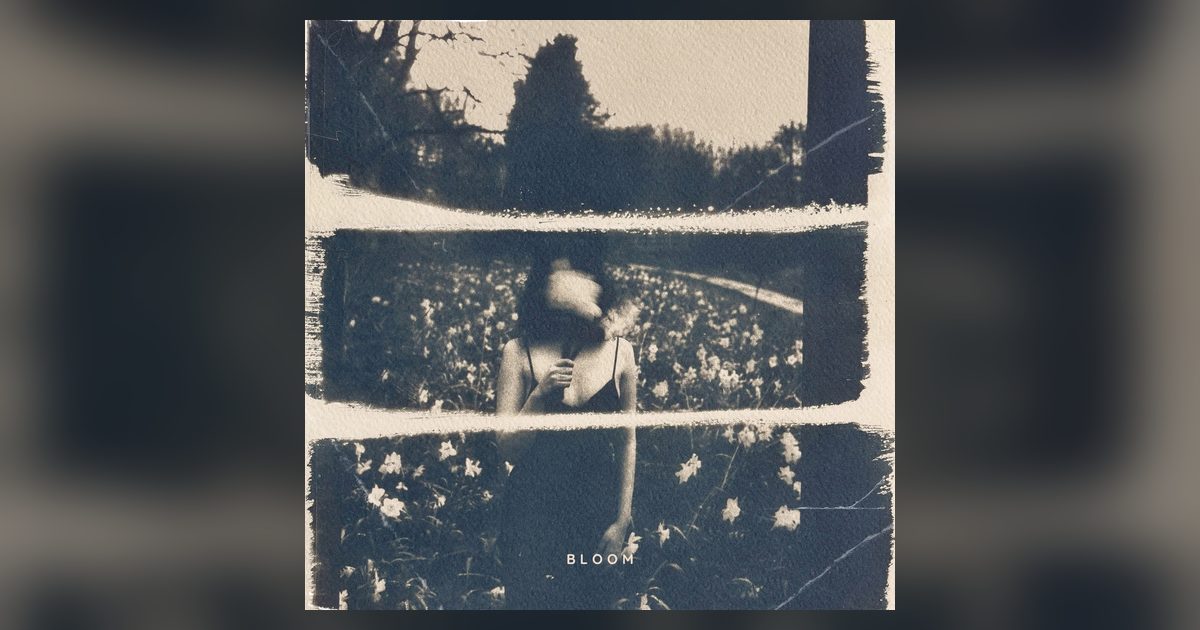 Cover image: The DANGERMEN – Bloom Review