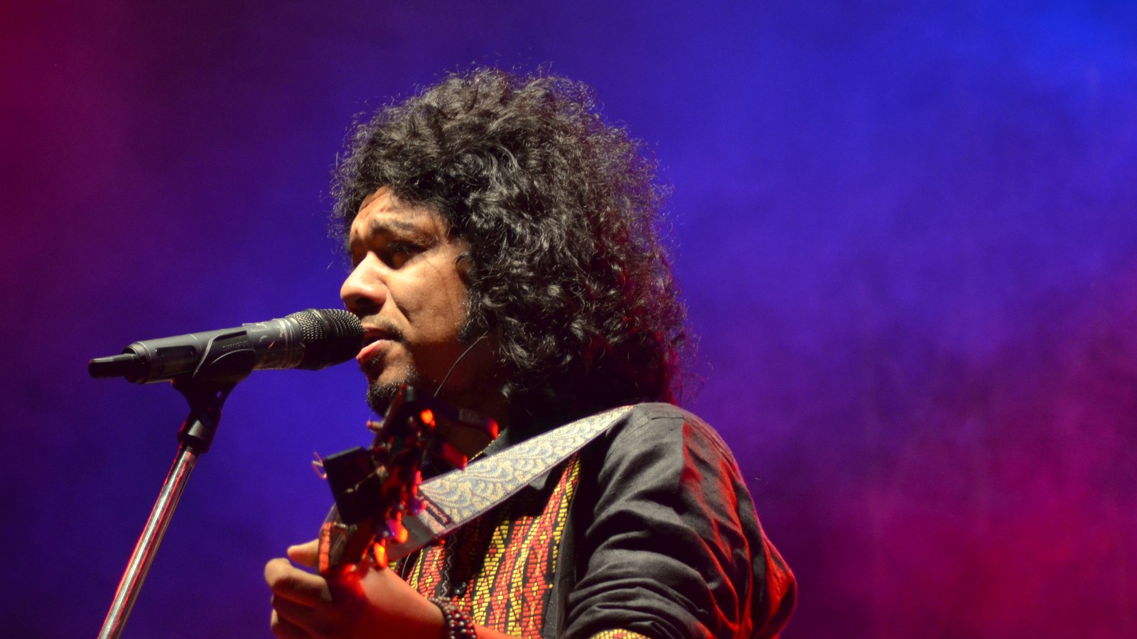 Papon singing into a microphone with a guitar under purple stage lights at Euphuism 2014