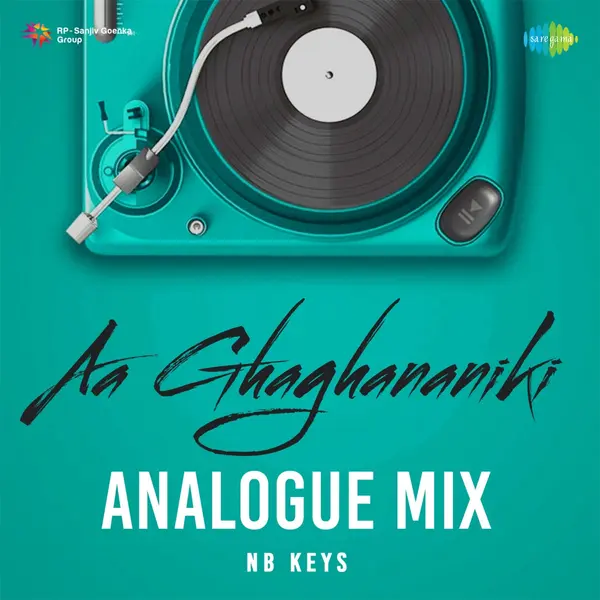 Aa Ghaghananiki (Analogue Mix) by Mohit Chauhan album artwork