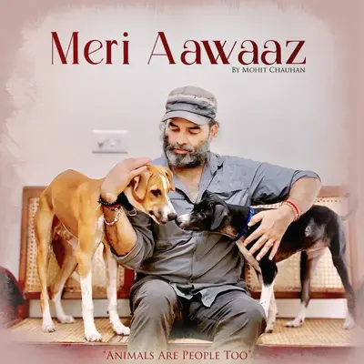 Meri Aawaaz by Mohit Chauhan album artwork