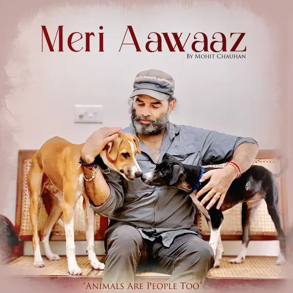 Meri Aawaaz by Mohit Chauhan album artwork
