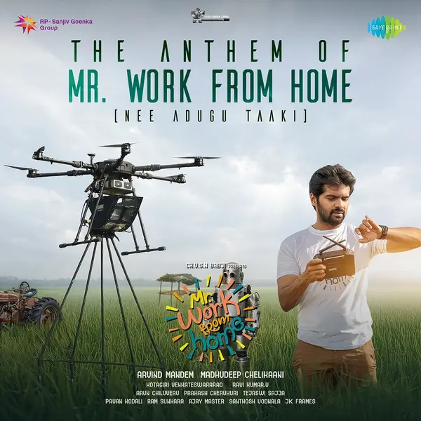 The Anthem of Mr. Work from Home (Nee Adugu Taaki) (From "Mr. Work from Home") by Baba Sehgal album artwork