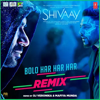 Bolo Har Har Har (Remix) [feat. Mohit Chauhan, Sukhwinder Singh, Badshah] by Silk Route (Mohit Chauhan) album artwork