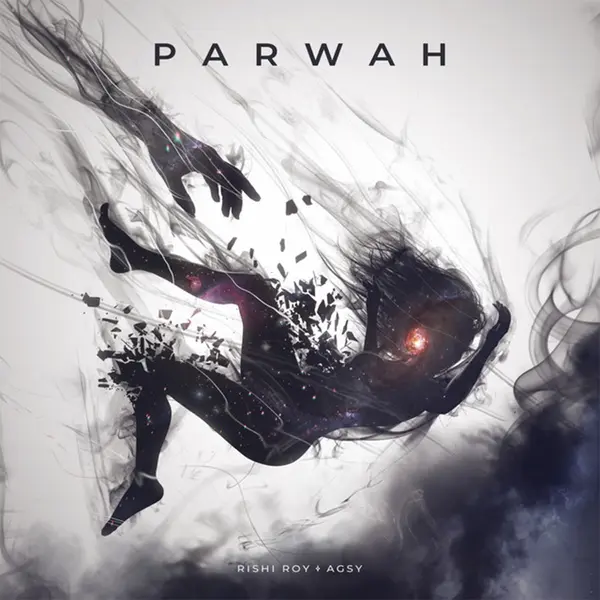 Parwah by Agsy album artwork