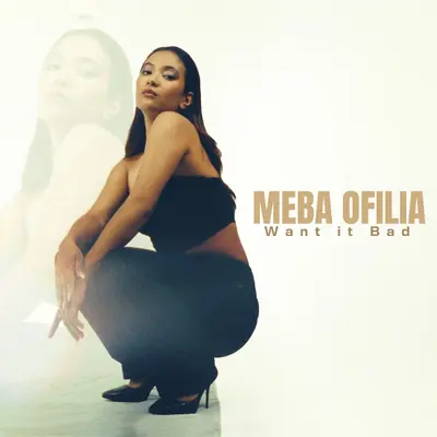 Want It Bad by Meba Ofilia album artwork