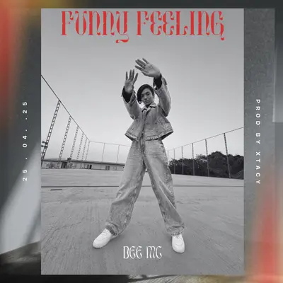 Funny Feeling by Dee MC album artwork