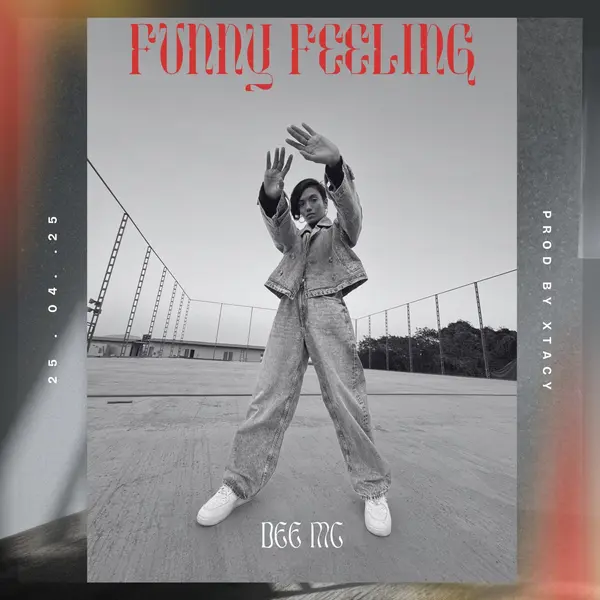 Funny Feeling by Dee MC album artwork