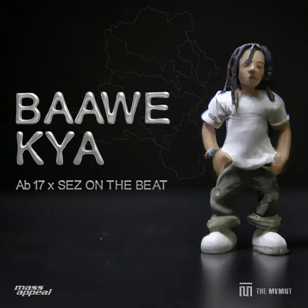 Baawe Kya by Sez on the Beat album artwork