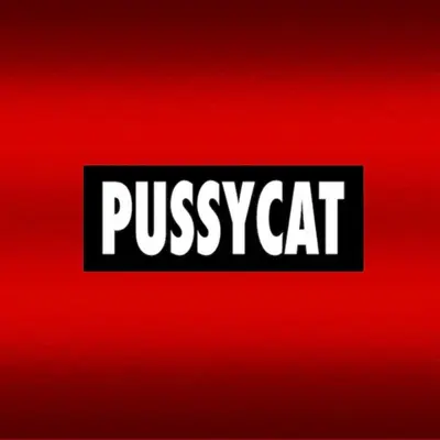 Pussycat by Stunnah Beatz album artwork