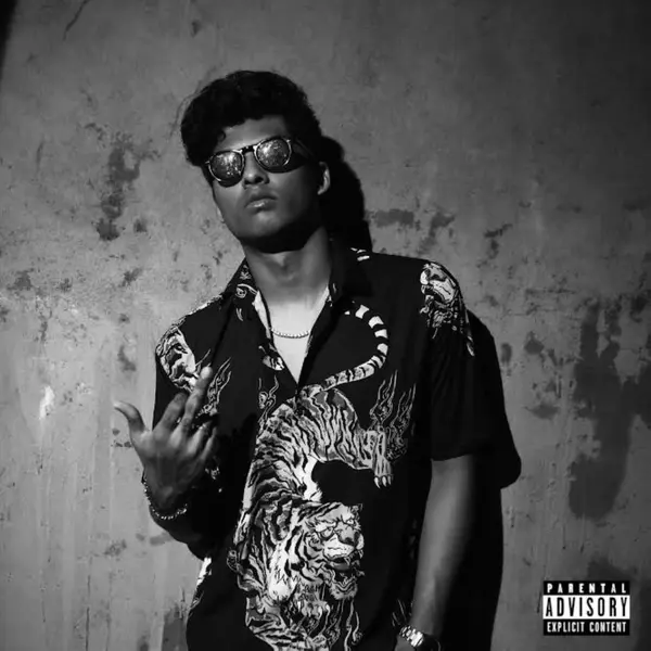 Nothing to Hide (feat. Stunnah Beatz) by Stunnah Beatz album artwork