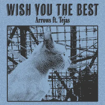 Wish You the Best (feat. Tejas) by Tejas album artwork