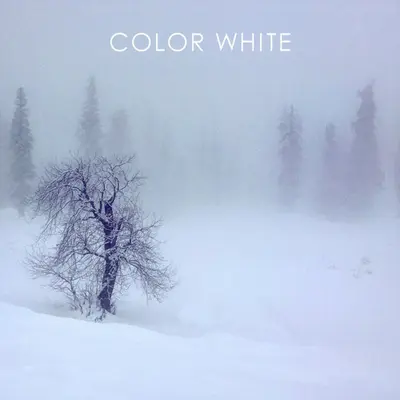 Color White by Parvaaz album artwork