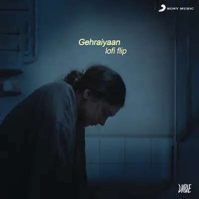 Gehraiyaan (Lofi Flip) by Ankur Tewari album artwork