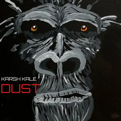 Dust by Karsh Kale album artwork