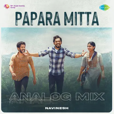 Papara Mitta (Analog Mix) by Hiphop Tamizha album artwork
