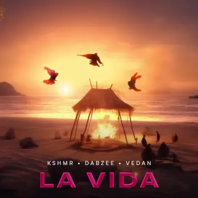 La Vida by Vedan album artwork