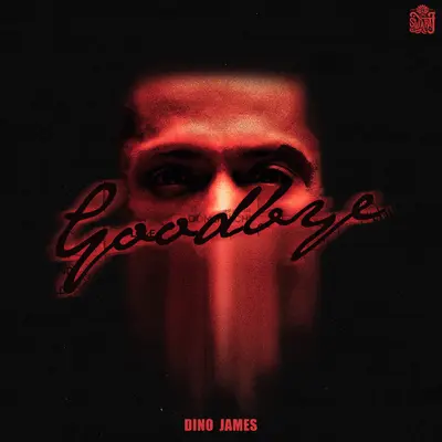 Goodbye by Dino James album artwork