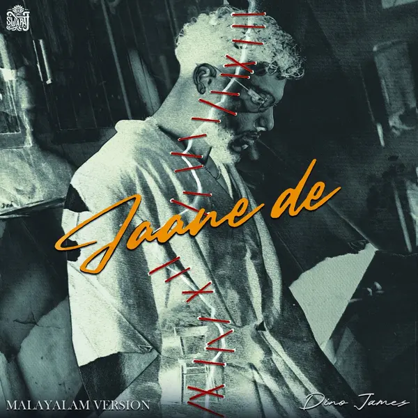 Jaane De (Malayalam) by Dino James album artwork