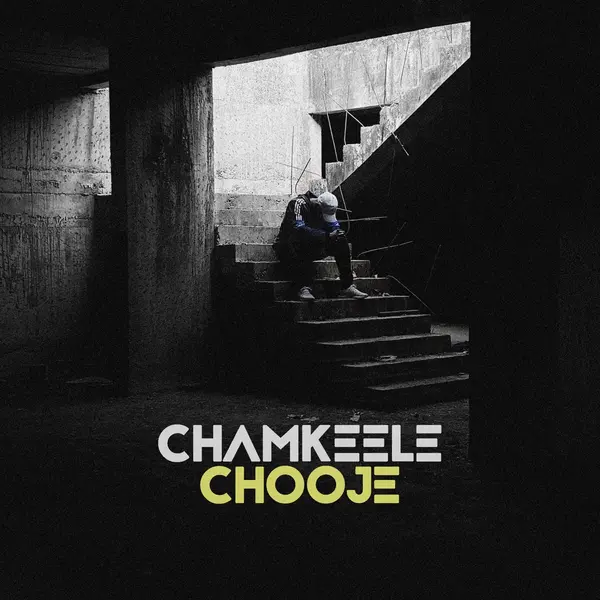 Chamkeele Chooje by Dino James album artwork