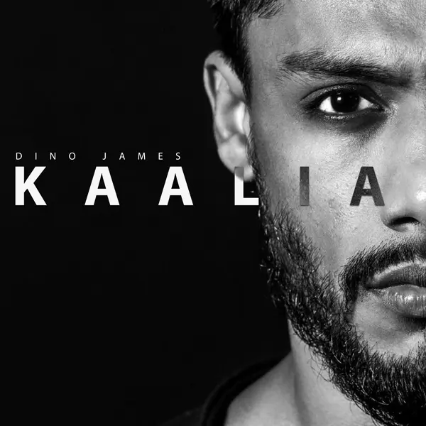 Kaalia by Dino James album artwork