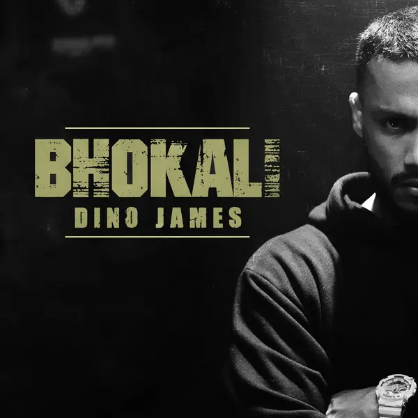 Bhokali by Dino James album artwork