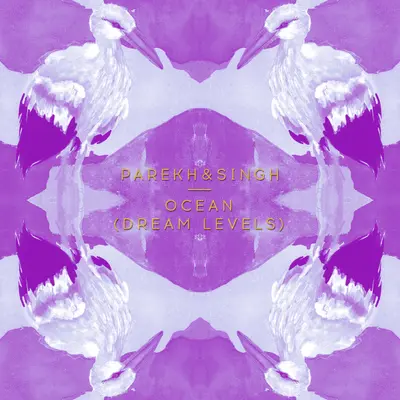Ocean (Dream Levels) by Parekh & Singh album artwork