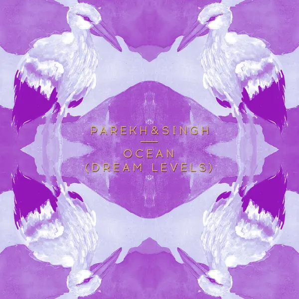 Ocean (Dream Levels) by Parekh & Singh album artwork