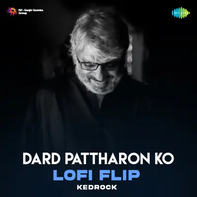 Dard Pattharon Ko (Lofi Flip) by Papon album artwork