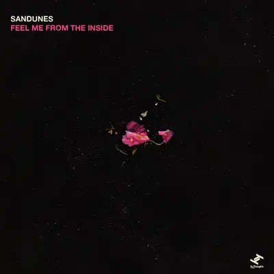 Feel Me From The Inside by Sandunes album artwork