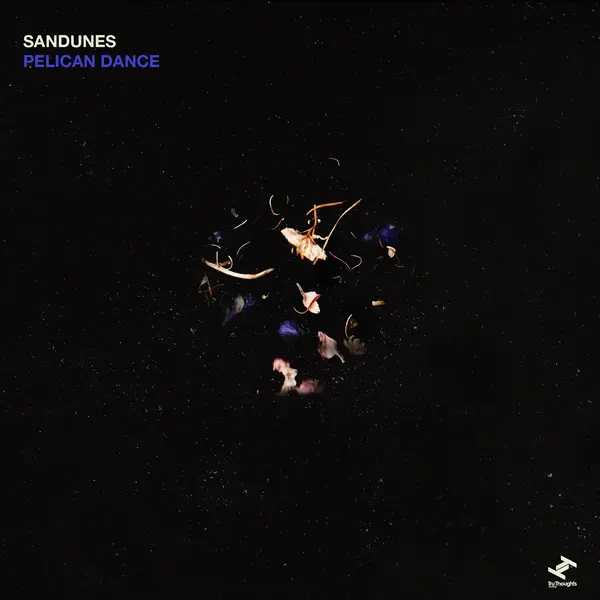 Pelican Dance by Sandunes album artwork
